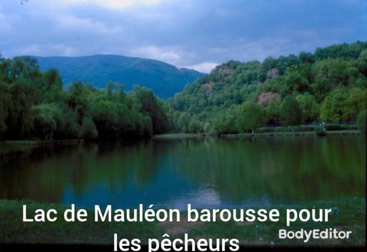 Petit Village Authentique Mauleon-Barousse Exterior photo